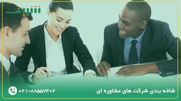 شاخه بندی شرکت های مشاوره ای